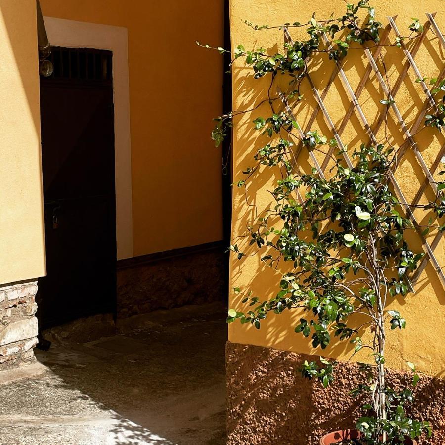 B&B Mela Roggiano Gravina ภายนอก รูปภาพ